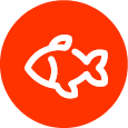 Fishing Icon