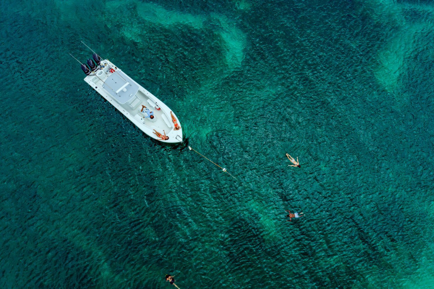 Aerial Snorkel Tour