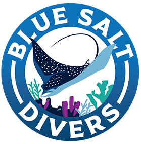Blue Salt Divers Logo